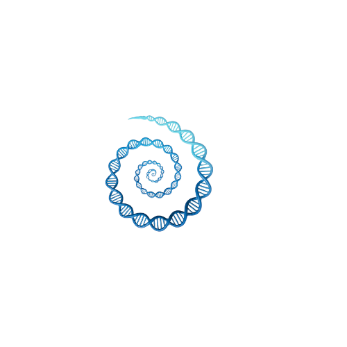 ozumnurcakmakci.com logosu