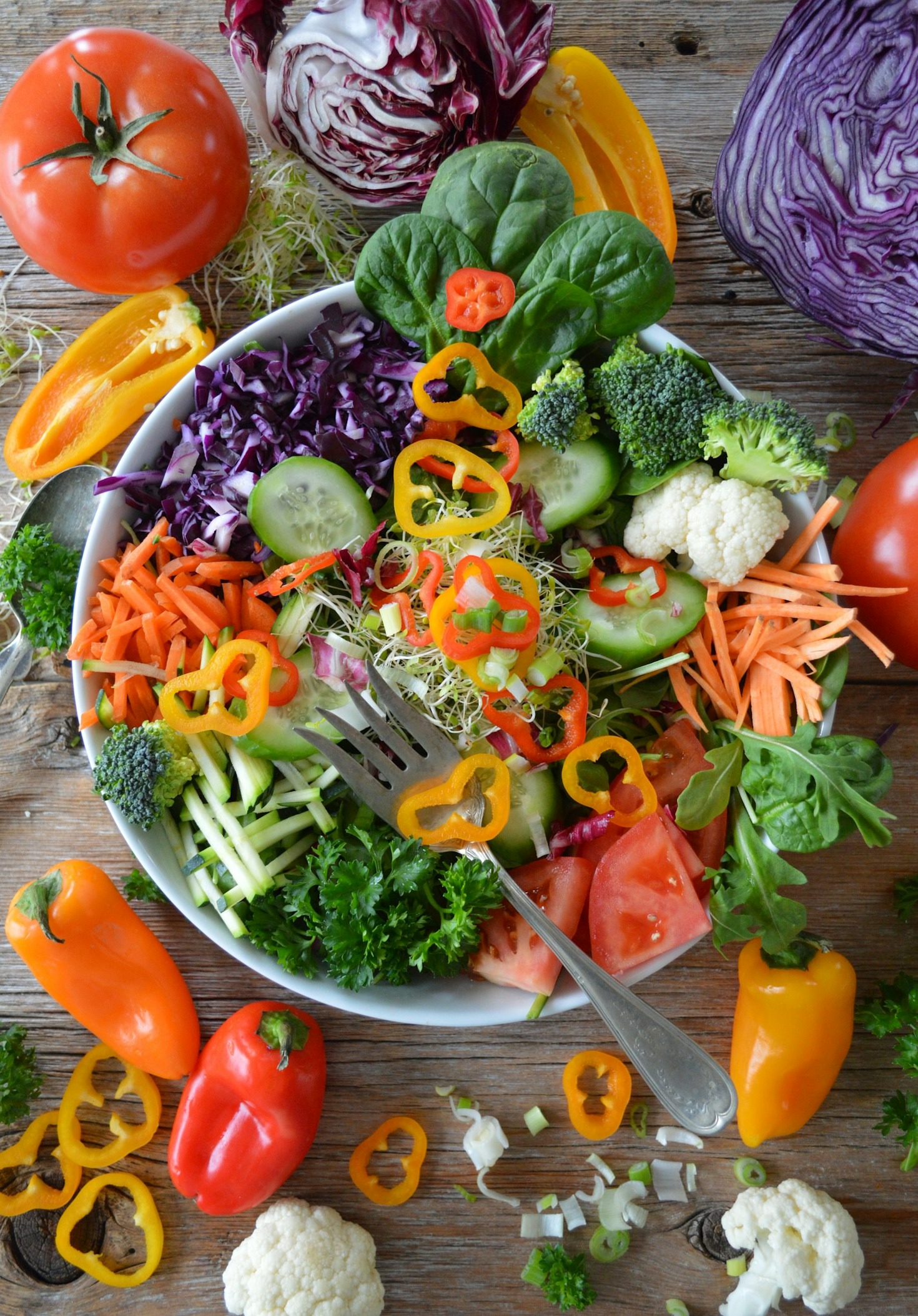 The Role of Education in Becoming a Nutrition Expert